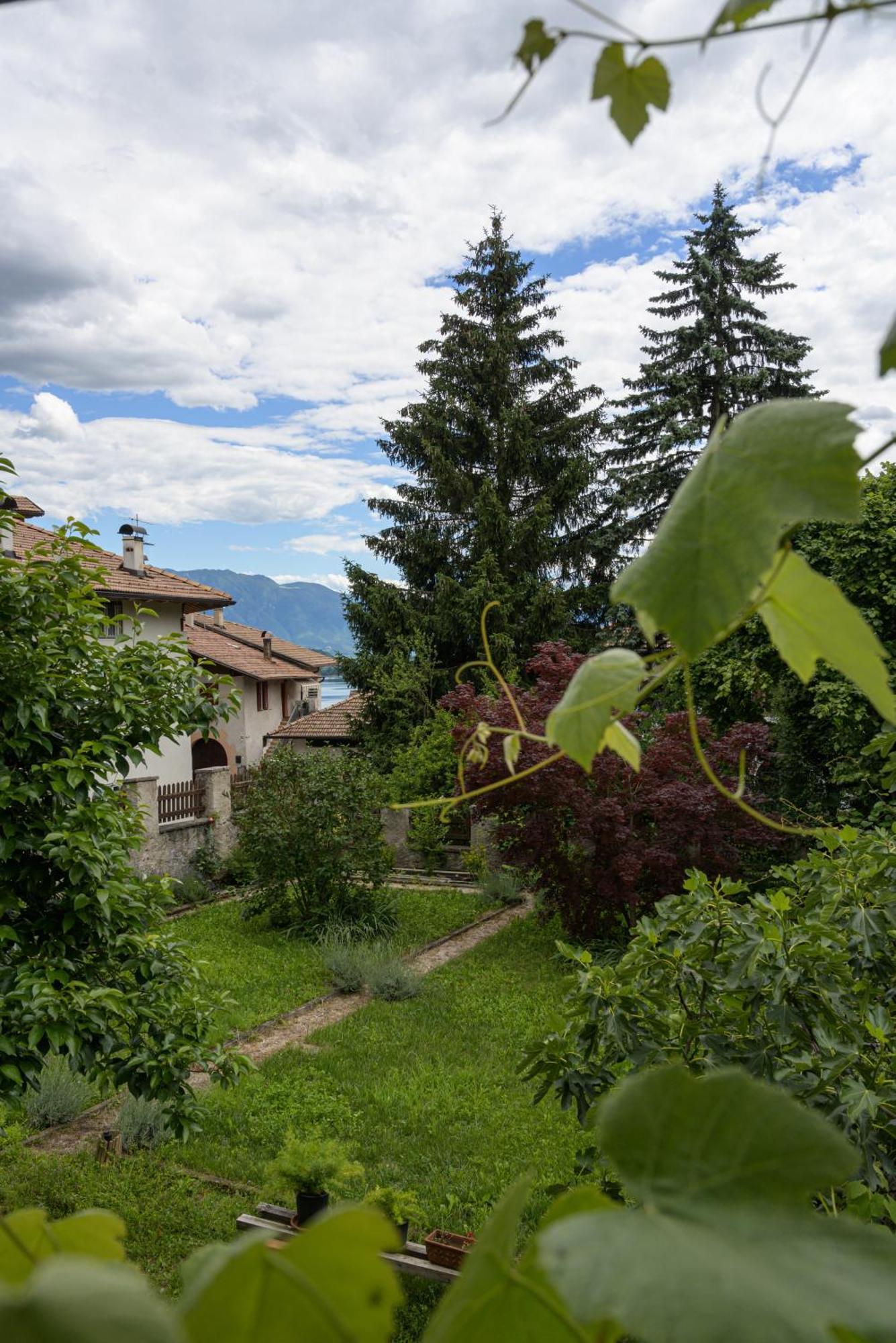Casa Bolego Villa Cagno  Bagian luar foto